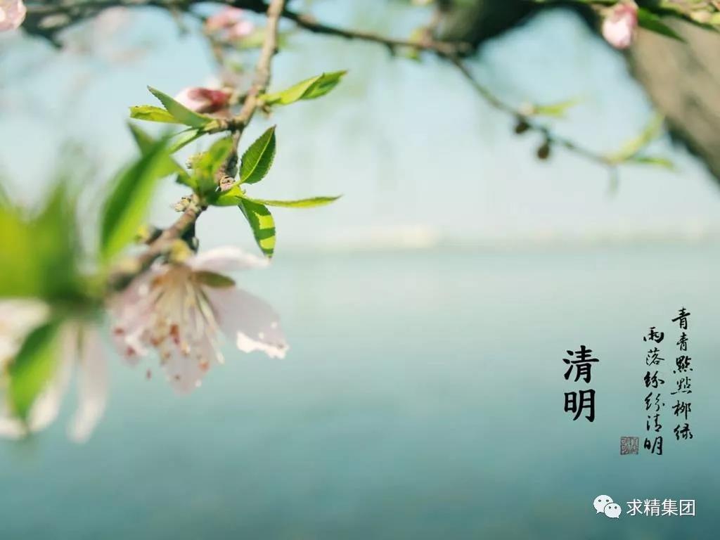 微信圖片_20190404164243